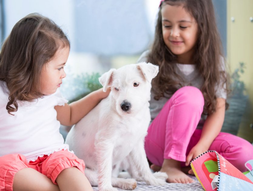 Hund und Baby - das musst Du beachten