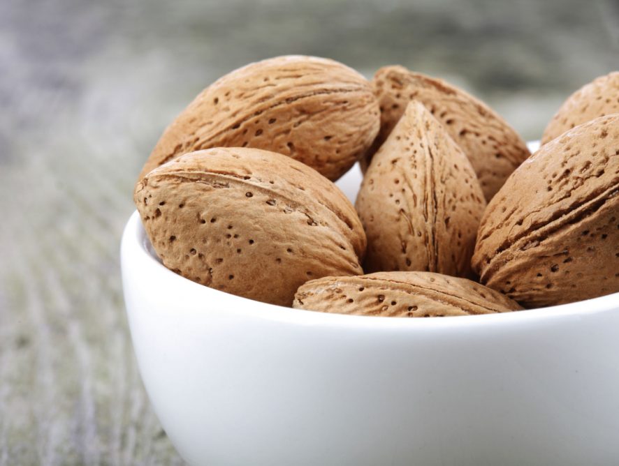 Nüsse & Erdnüsse = Allergie?